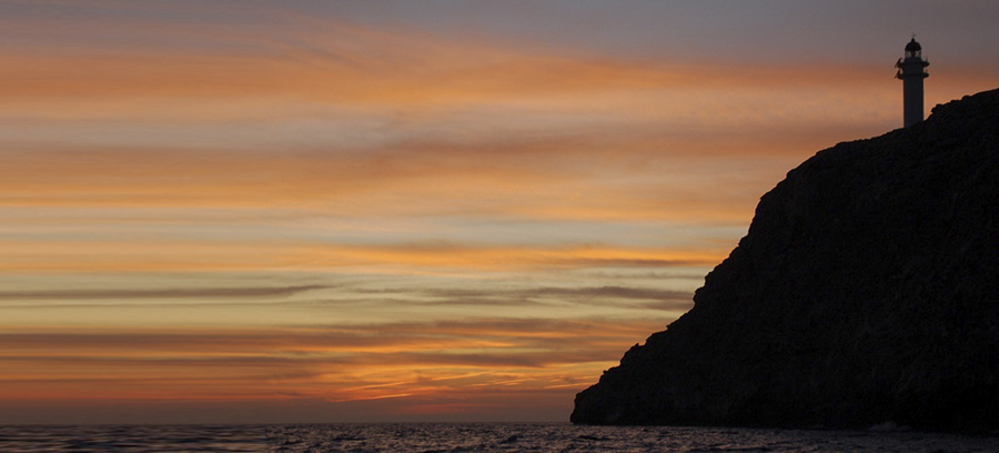 10 ideas para  2021 en Formentera